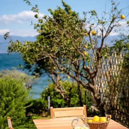 Villa Lefkon Seaside Retreat Kato Rodini